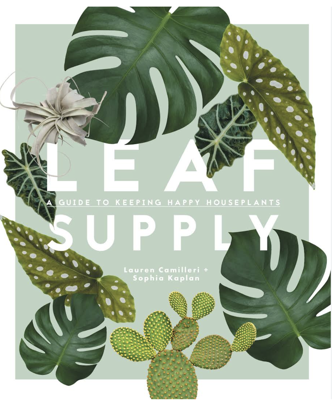 LEAF SUPPLY